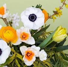  پرسیده نپرسیده دلم تو سینه لرزیده